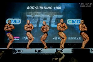 BODYBUILDING +100